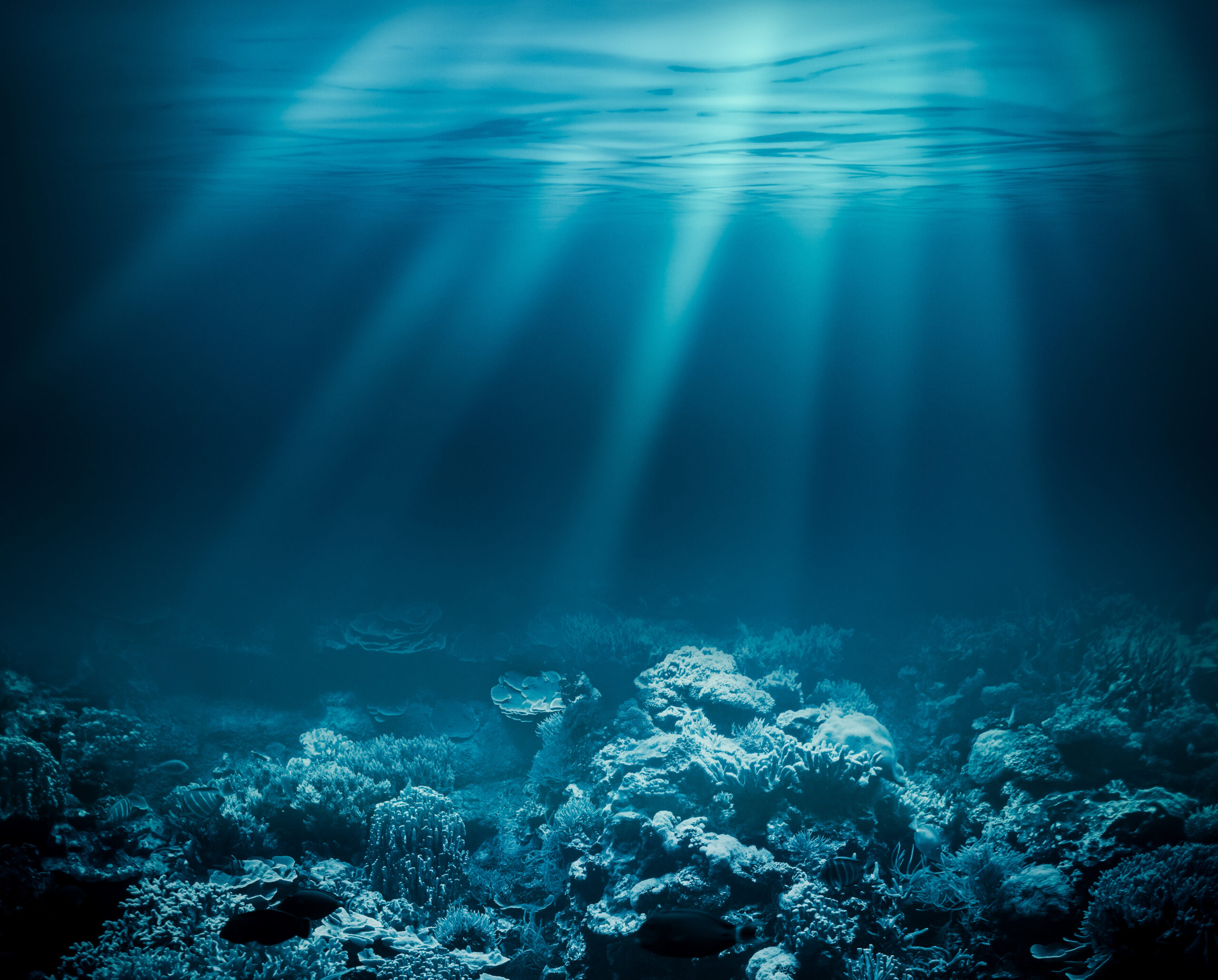 Coral Reef Rescue: The Ultimate Summary You Need To Read - mtcm7fx