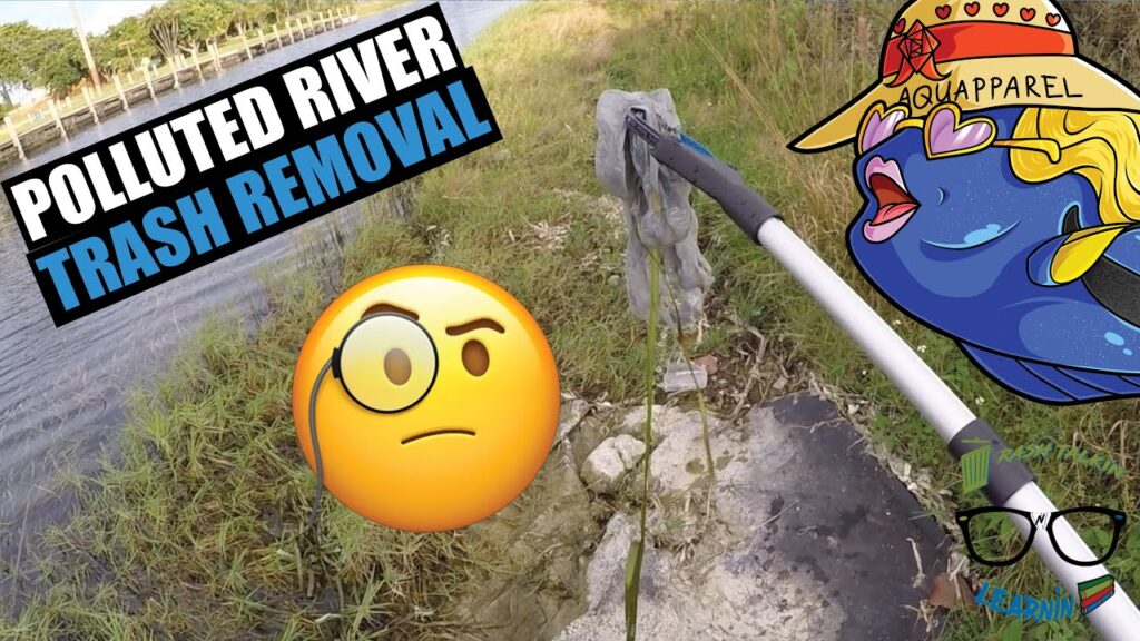 WATCH: Trash Talkin’ N Learnin’ Canal Clean Up and The Blue Tang ...